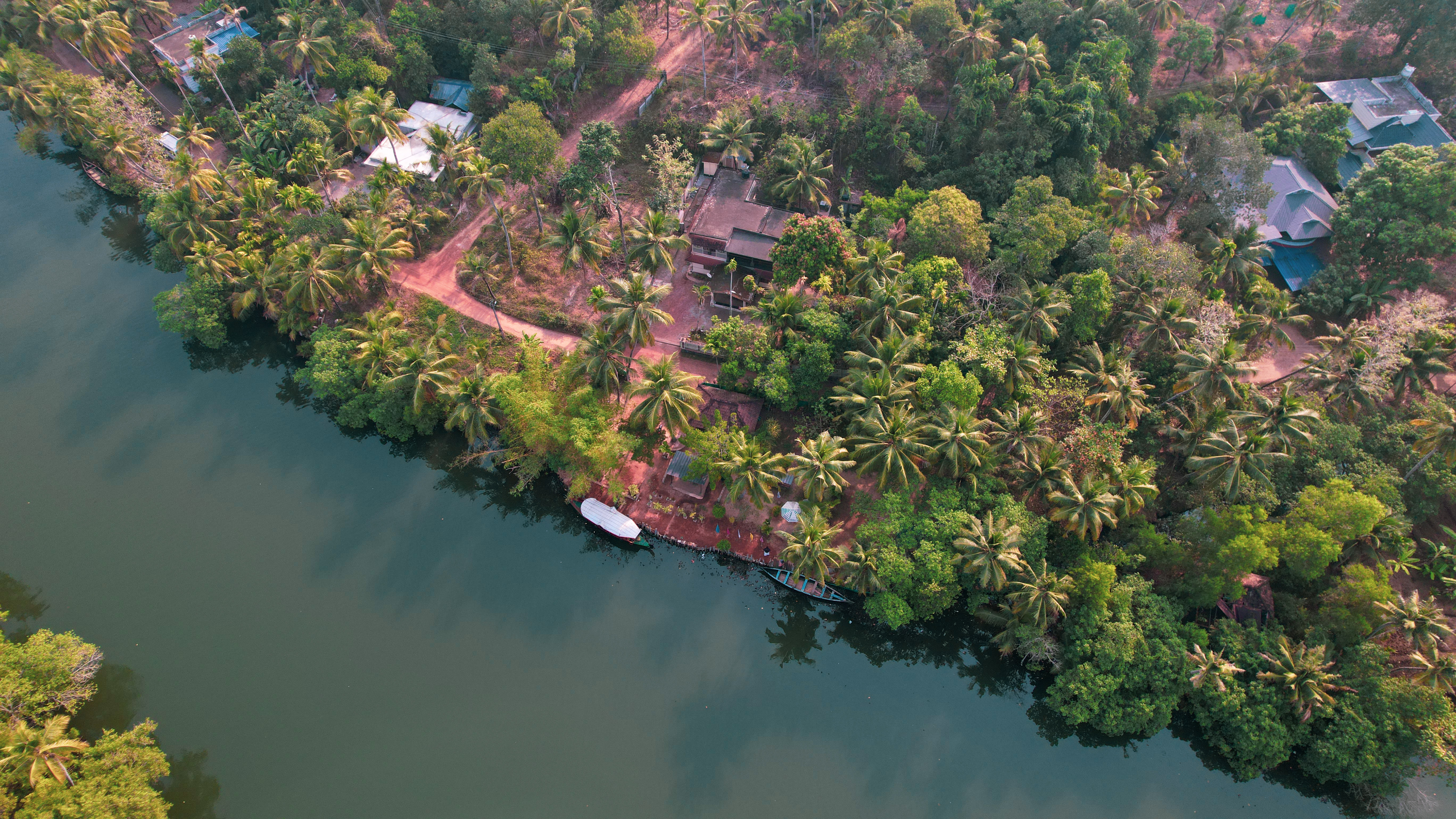 Kerala backwater canal with palm trees on Munroe Island